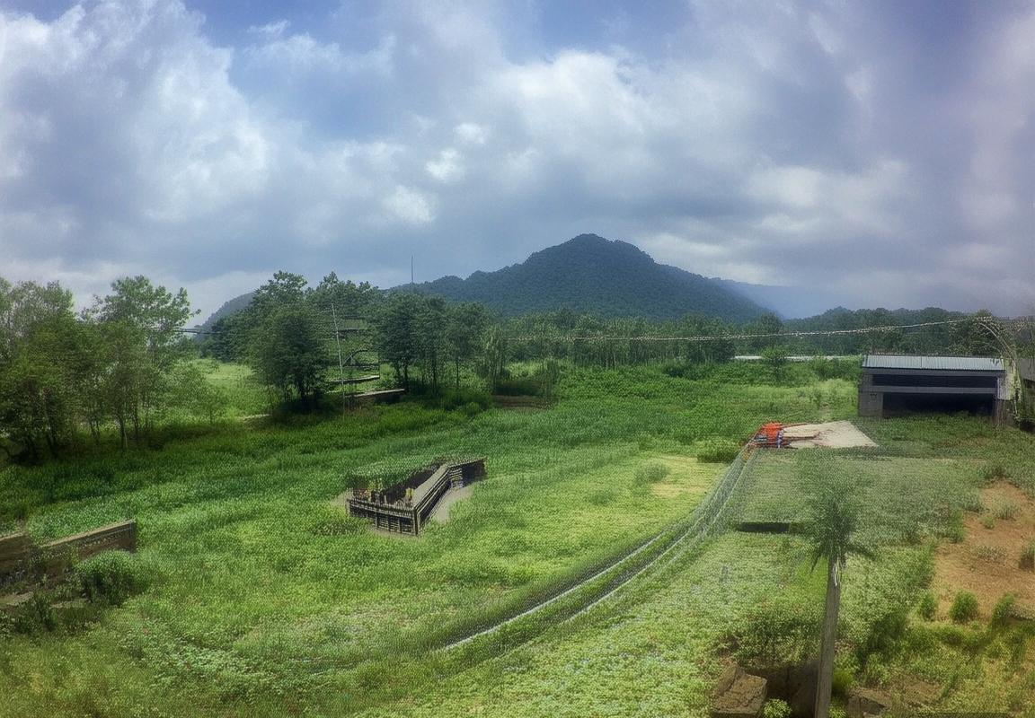 弗拉霍维奇：足坛新星引领战术革新与商业机遇(图2)